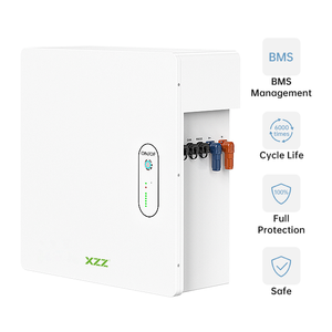  XZZ New Hot Wall-Rack mount Dual use 51.2v 100ah 14.33kwh Lifepo4 Lithium Ion Battery For Solar System Home Energy Storage Syst.